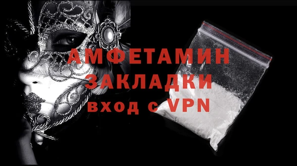 индика Надым