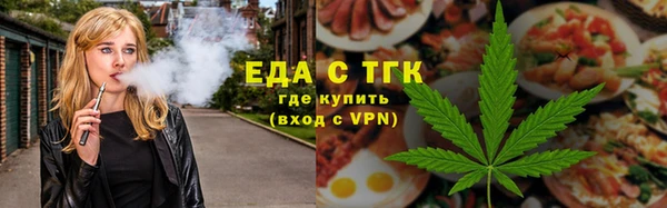 индика Надым