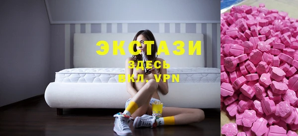 индика Надым