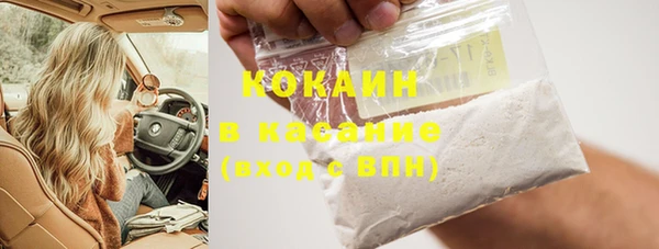 индика Надым