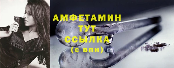индика Надым