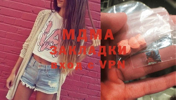 индика Надым