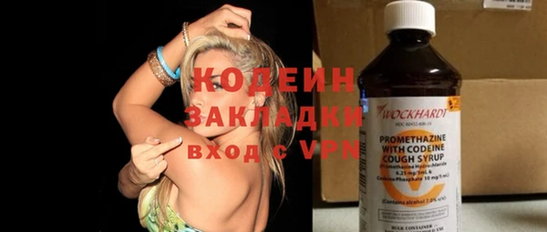 индика Надым