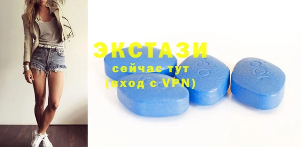 индика Надым