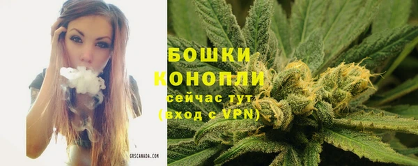 сатива Навашино