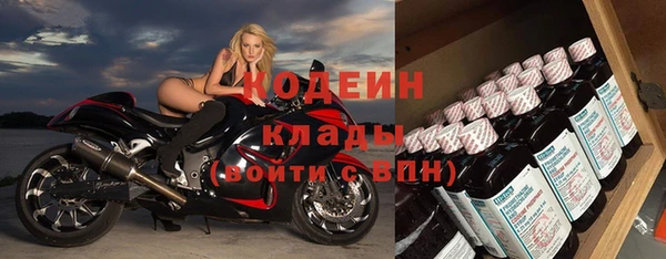 индика Надым