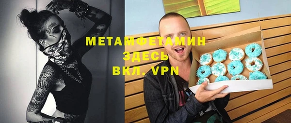 индика Надым