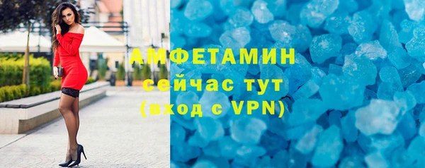 индика Надым