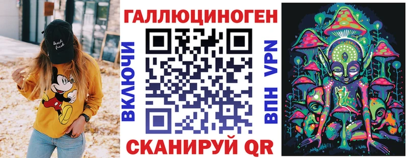 Галлюциногенные грибы Psilocybine cubensis  Новопавловск 